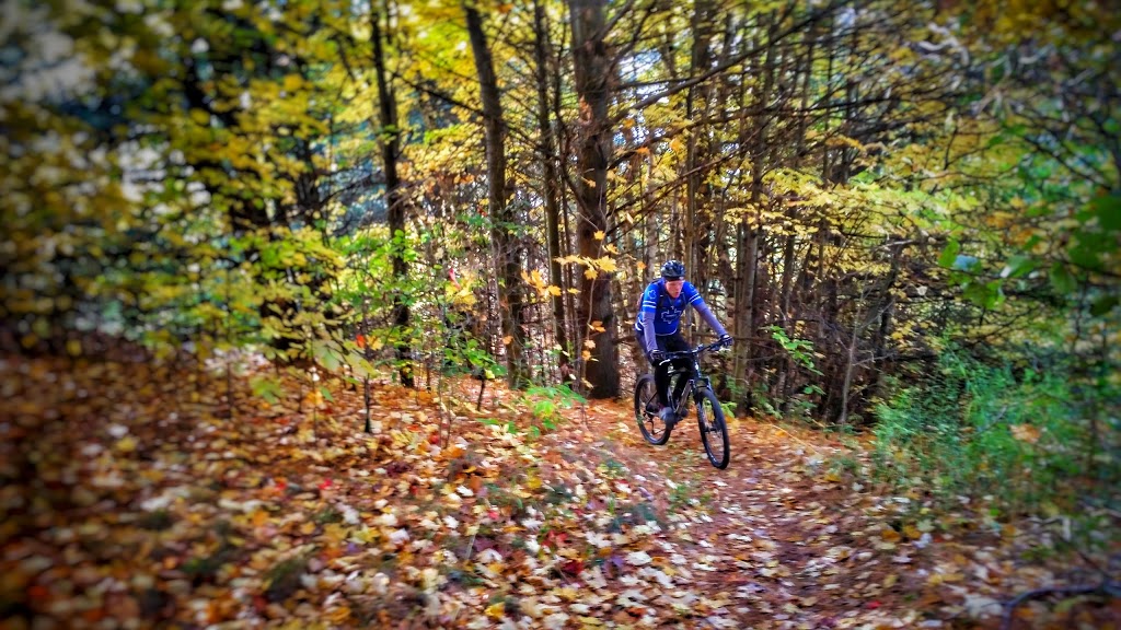 Glen Major Forest | Uxbridge, ON L0C, Canada