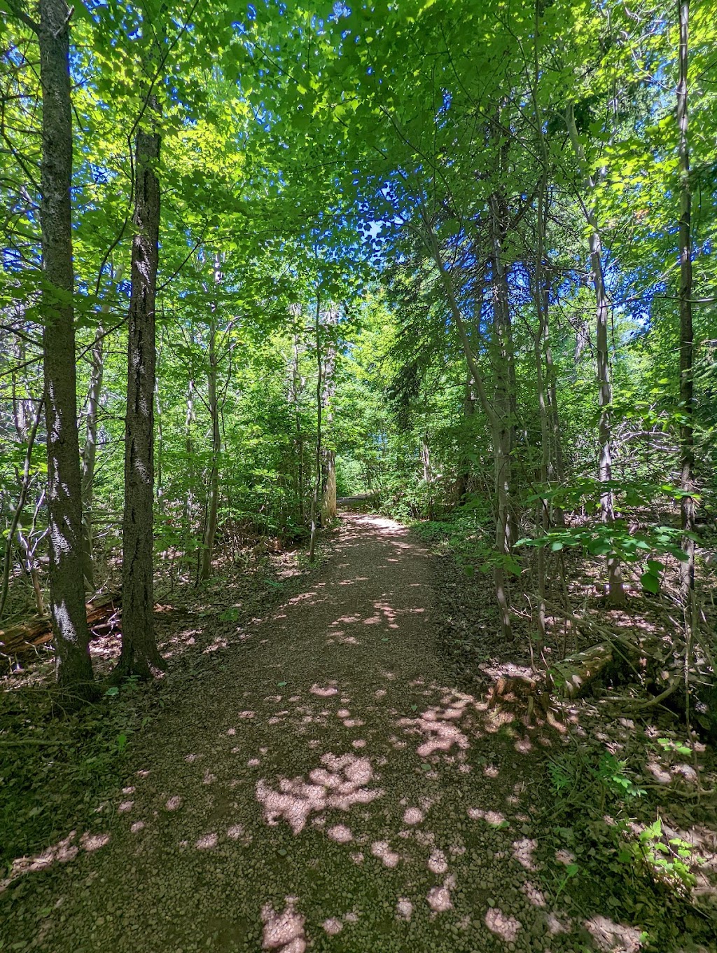 Haunted Wood Trail, Green Gables Heritage Place 8619 Cavendish Rd
