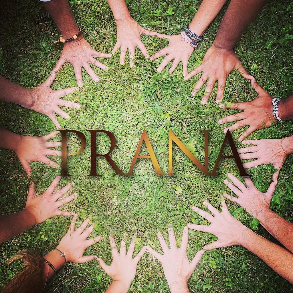 Prana Wellness | 4795 Bd Saint-Charles, Pierrefonds-Roxboro, QC H9H 3C7, Canada | Phone: (514) 629-6589