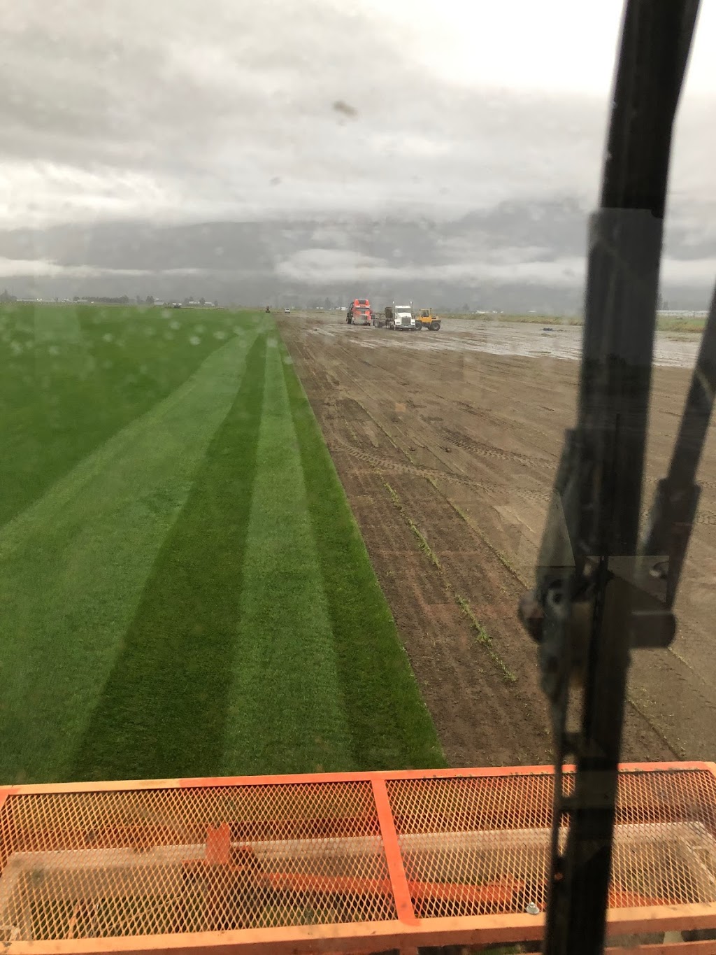 Highland Redi-Green Turf Farm | 16897 Windsor Rd, Pitt Meadows, BC V3Y 1Z1, Canada | Phone: (604) 465-9812