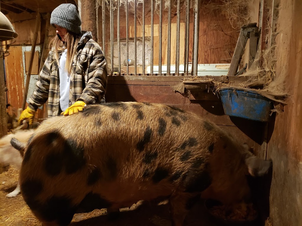 The Sharp Life Homestead | 1633 Dunns Line RR5, Coldwater, ON L0K 1E0, Canada | Phone: (705) 330-1243