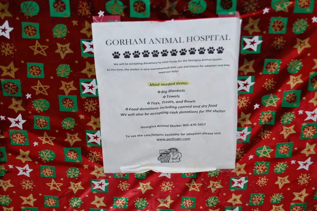 Gorham Animal Hospital 852 Gorham St, Newmarket, ON L3Y 1L8, Canada