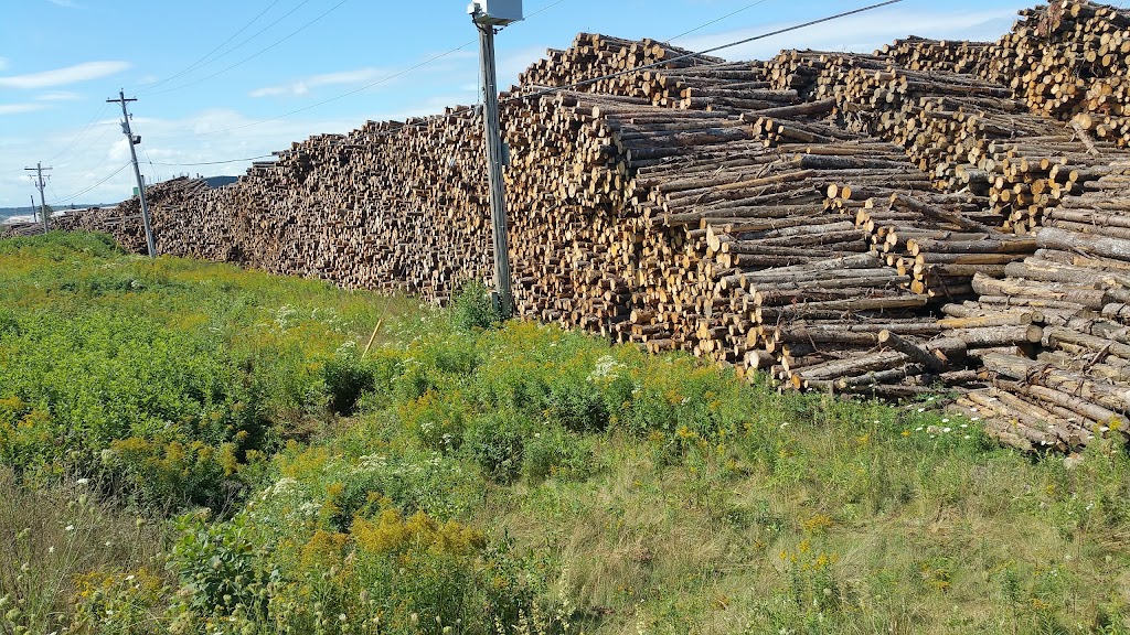 JD Irving Sawmill - Sproule Lumber | 529 Valleydale Rd, Valley, NS B6L 2Y2, Canada | Phone: (902) 895-4451