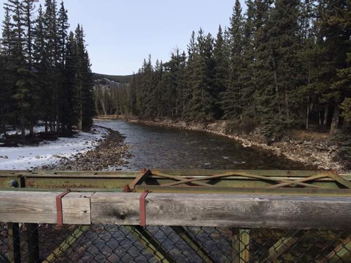 Ditto Copy & Signs | 629 7th Ave, Keremeos, BC V0X 1N0, Canada | Phone: (250) 499-2068