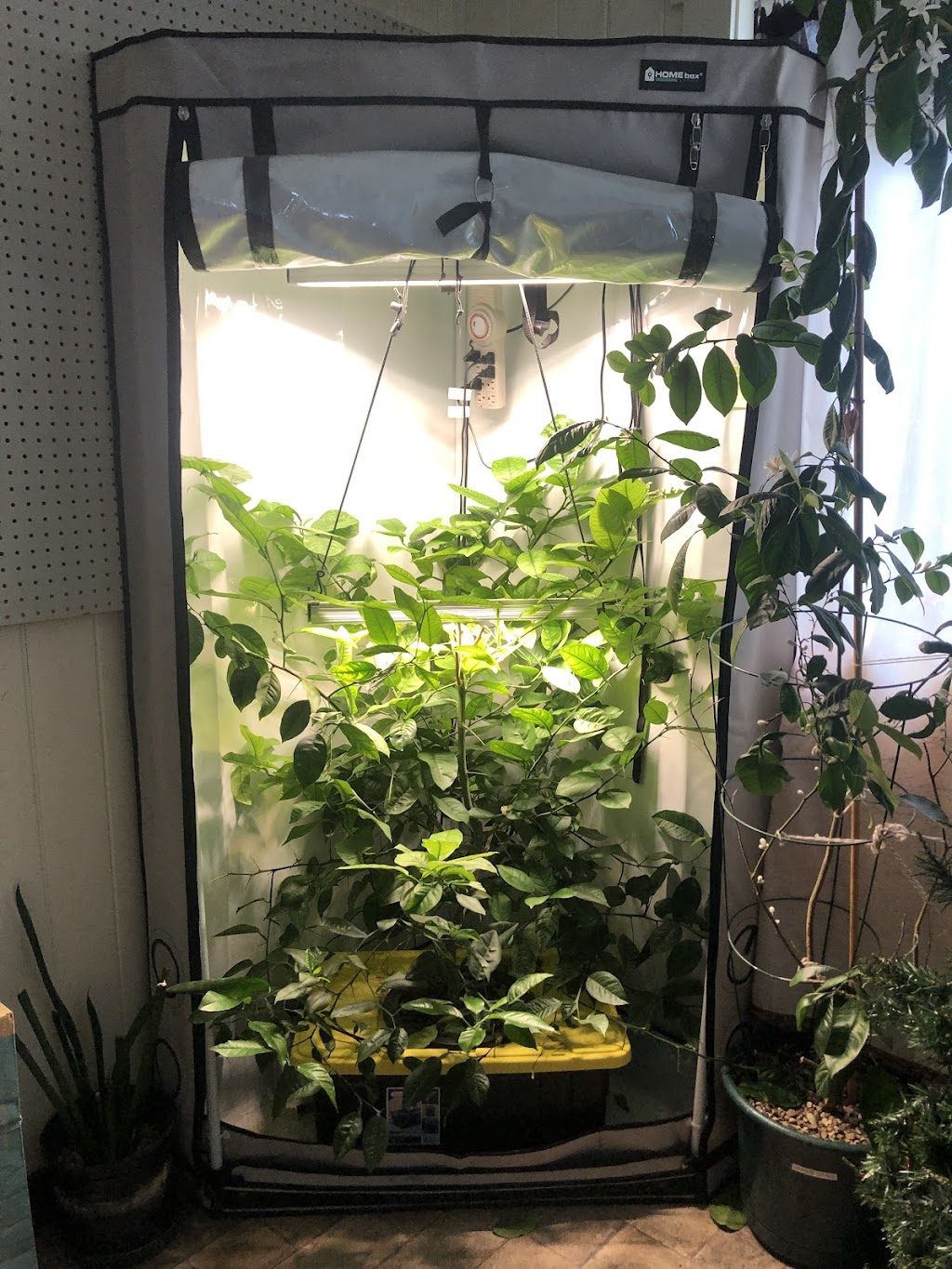 danos hydro heaven | 732 Kettles St, Pincher Creek, AB T0K 1W0, Canada | Phone: (587) 788-0663