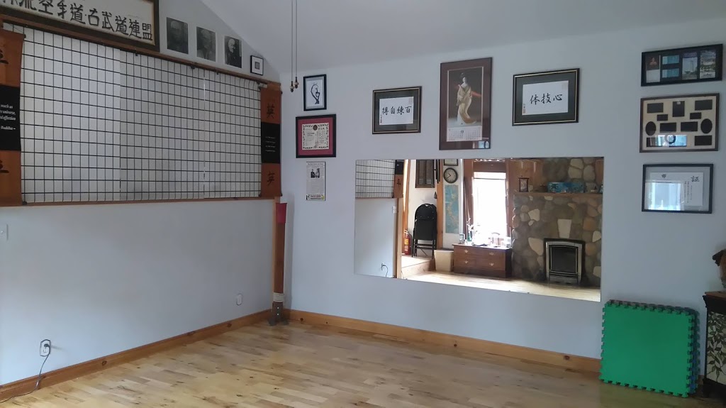 Heal This Land™ Karate | 3 Brammer Dr, Orillia, ON L3V 7T4, Canada | Phone: (705) 955-1742