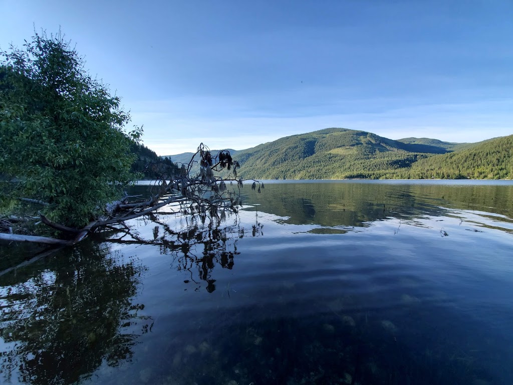 Syringa Provincial Park | 5570 Broadwater Rd, Robson, BC V0G 1X0, Canada | Phone: (250) 365-6945