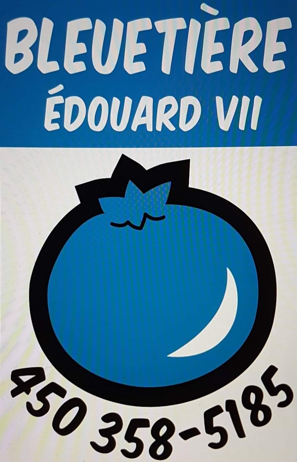 Bleuetiere Edouard VII | 623 Bd Édouard Vii, Saint-Jacques-le-Mineur, QC J0J 1Z0, Canada | Phone: (450) 358-5185