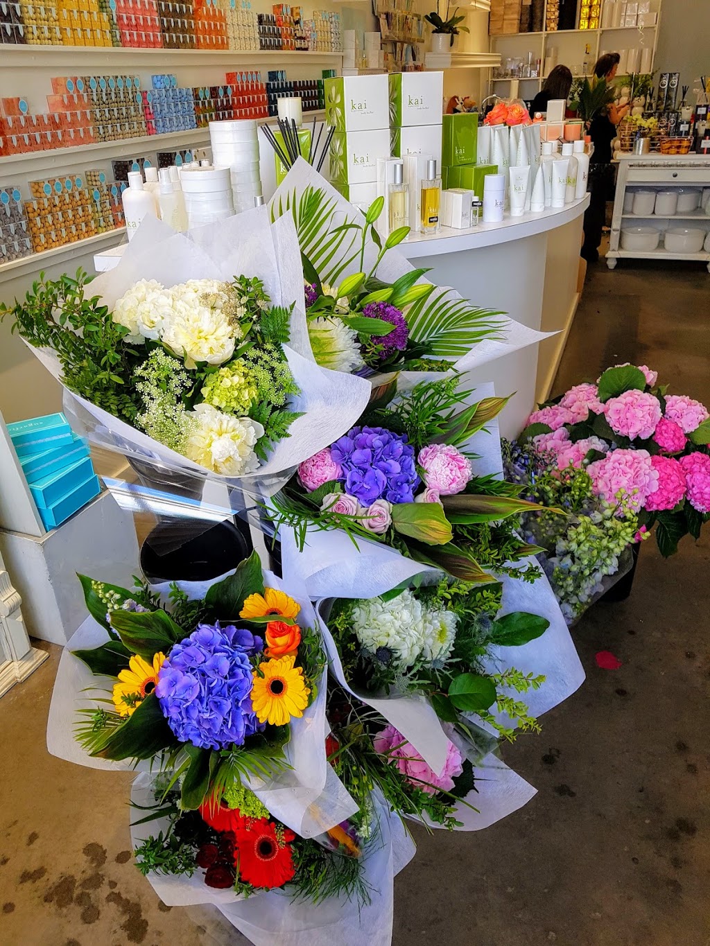 Swish + Company | 14225 23 Ave NW, Edmonton, AB T6R 3E7, Canada | Phone: (780) 437-7493