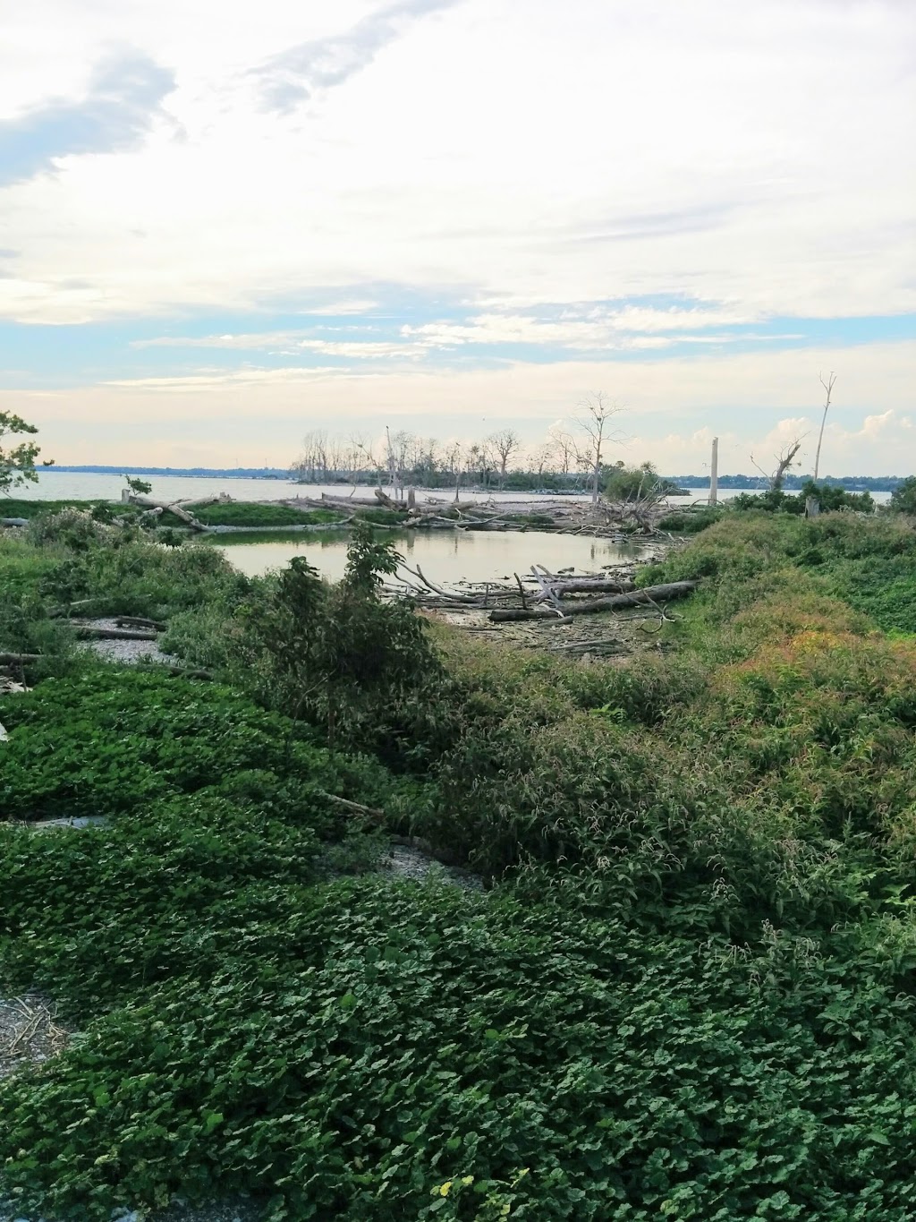 "East" Brothers Islands | Odessa, ON K0H 2H0, Canada