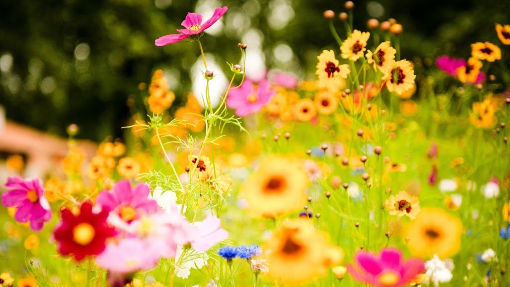 Compass Counselling Services Calgary | 600 Crowfoot Crescent NW #340, Calgary, AB T3G 0B4, Canada | Phone: (403) 585-4780