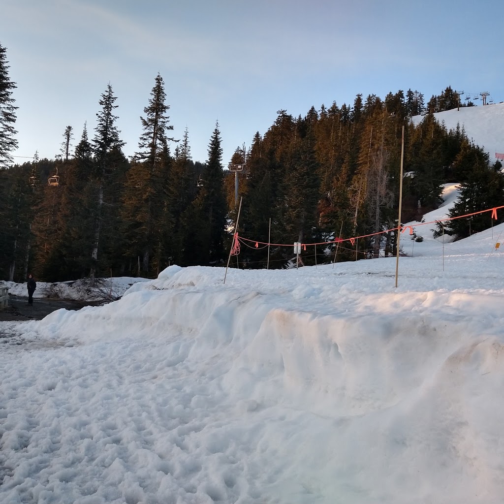 Great Choice Contractors | 2185 Chairlift Pl, West Vancouver, BC V7S 3G1, Canada | Phone: (604) 729-3093