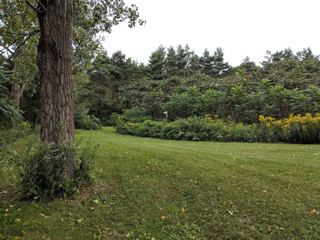 Fingal Wildlife Management Area | 34469 Fingal Line, Fingal, ON N0L 1K0, Canada
