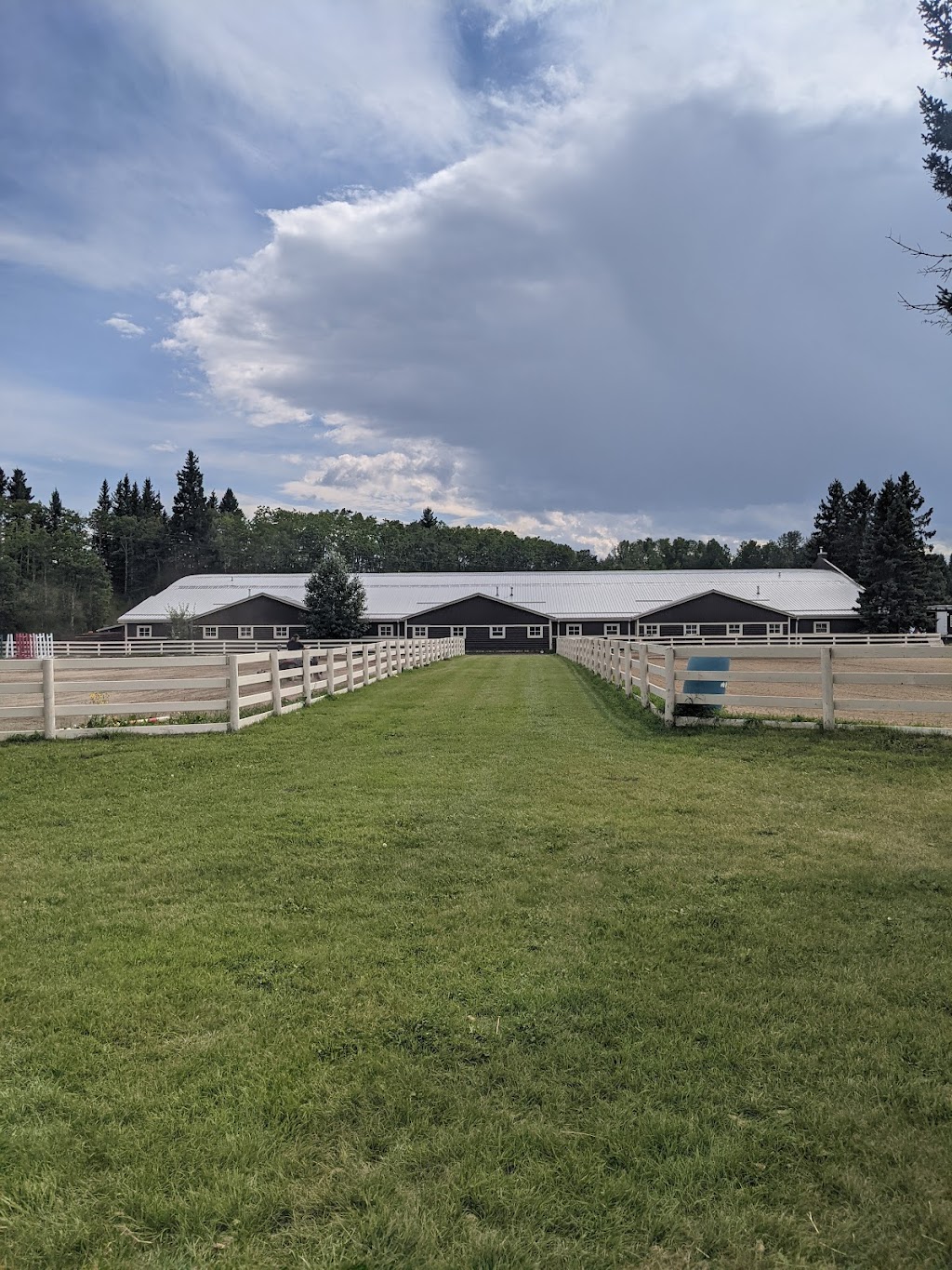 Black Diamond Land & Cattle Co. | Range Rd 25A, Millarville, AB T0L 1K0, Canada | Phone: (403) 408-7585