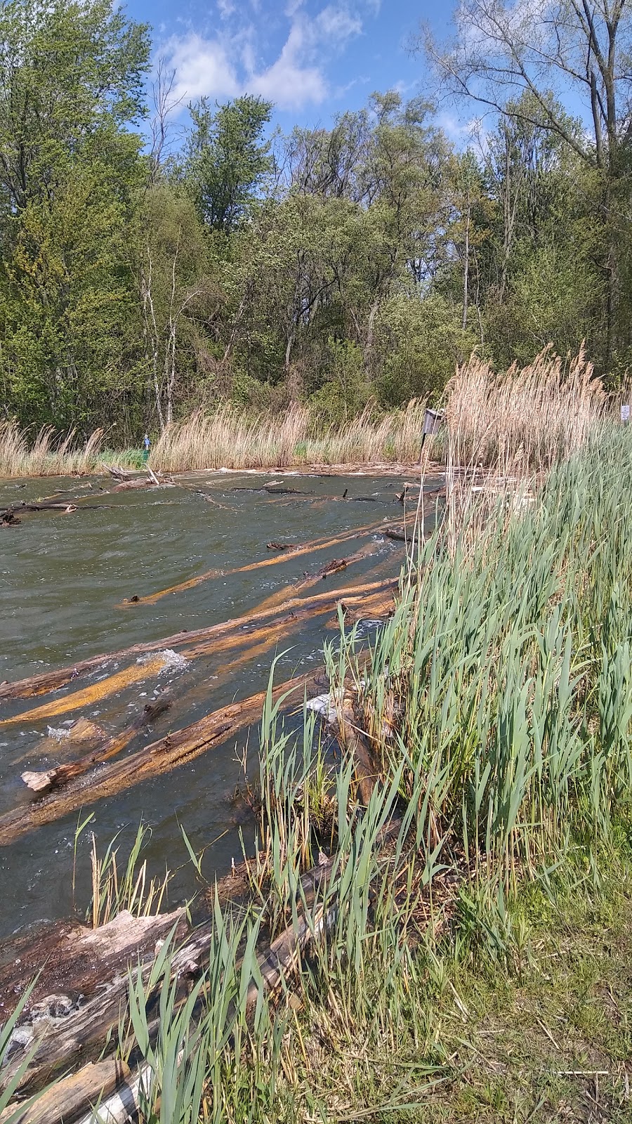 Kettlewell Pond | Fort Gratiot Twp, MI 48059, USA