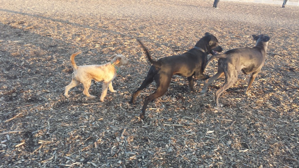 Norton Leash Free Dog Park | 4613-, 4621 Cornerstone Dr, Burlington, ON L7R 3X4, Canada