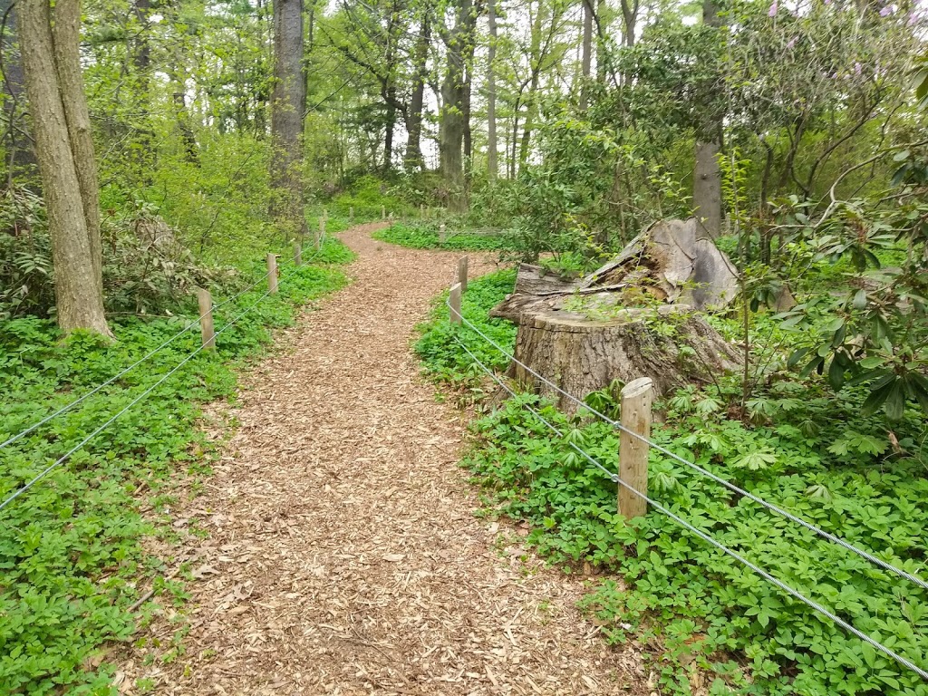 Hancock Woodlands Park | Cooksville, Mississauga, ON L5A 2K1, Canada