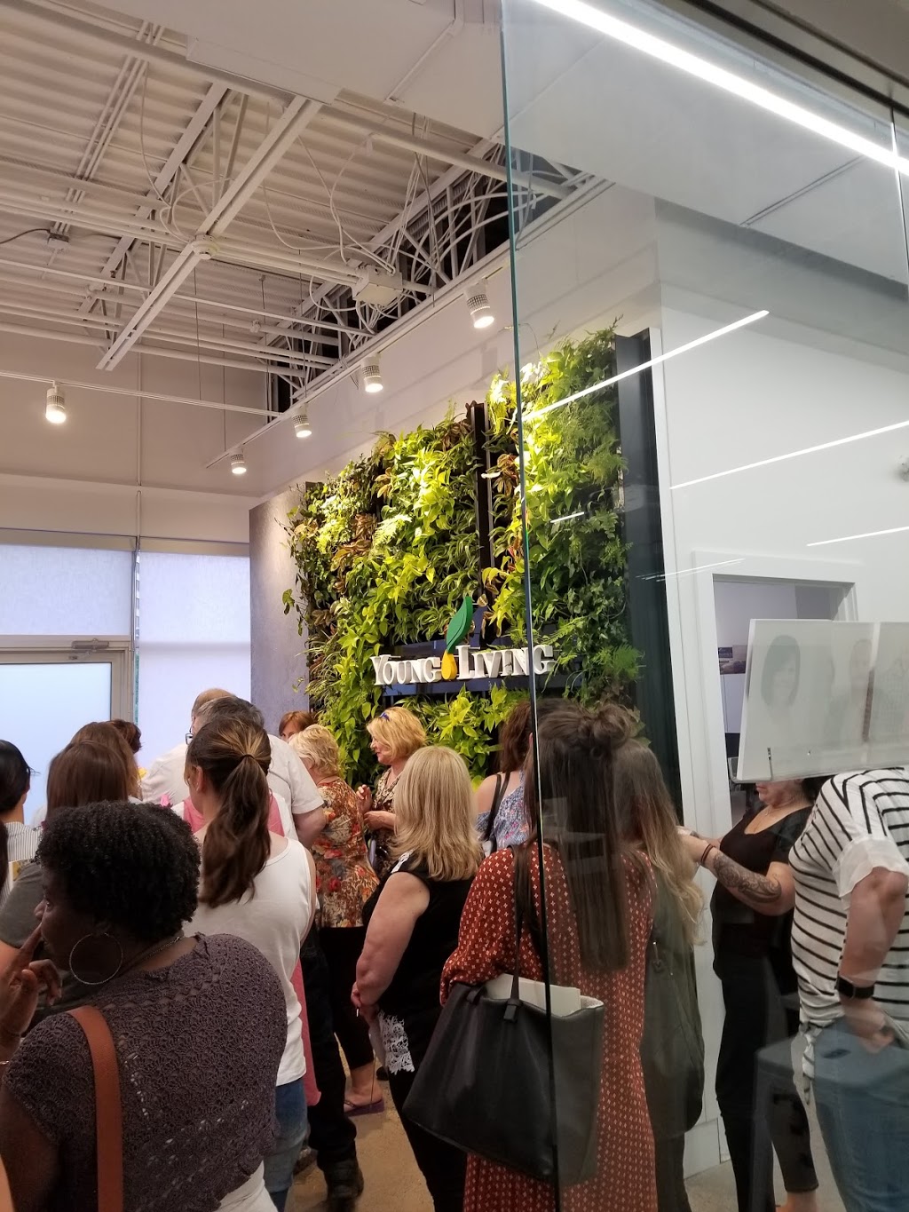 Young Living Essential Oils -Ontario Experience Centre | 7700 Hurontario St #201, Brampton, ON L6Y 4M3, Canada | Phone: (289) 864-7580