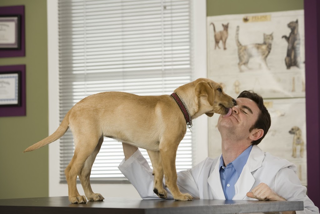 XLVets Canada | 1625 Angus Campbell Rd, Abbotsford, BC V3G 2G4, Canada | Phone: (800) 982-1674