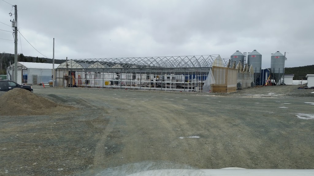 Bickerstaffe Nurseries & Gardens | 131 Witch Hazel Rd, Portugal Cove-St. Philips, NL A1M 3N3, Canada | Phone: (709) 895-3701