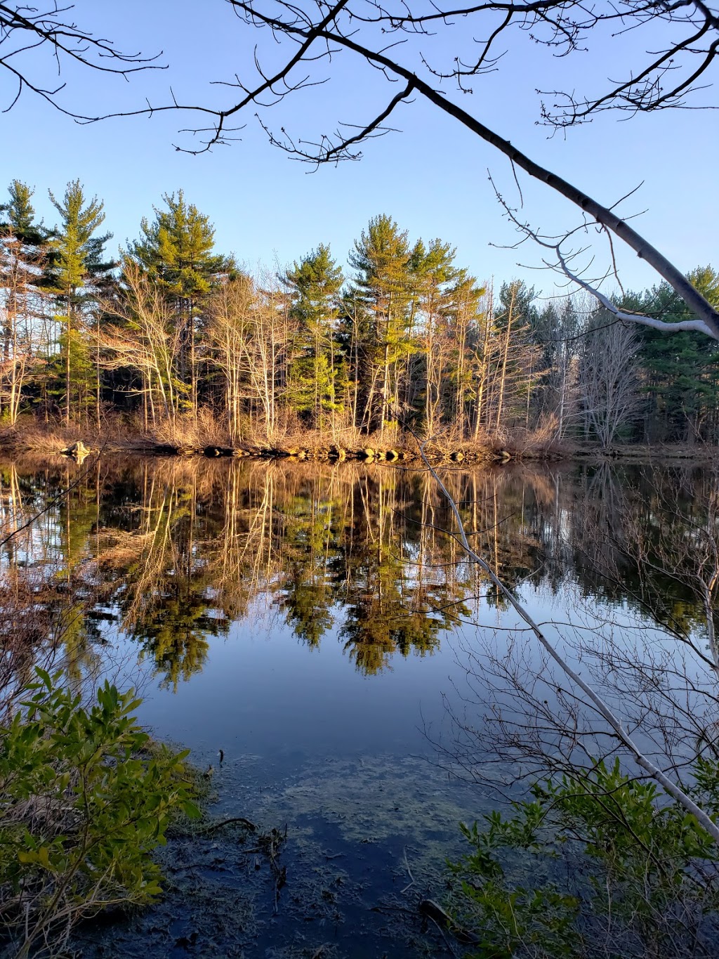 Miller Point Peace Park | 13905 Nova Scotia Trunk 3, Dayspring, NS B4V 5P6, Canada | Phone: (902) 541-1343