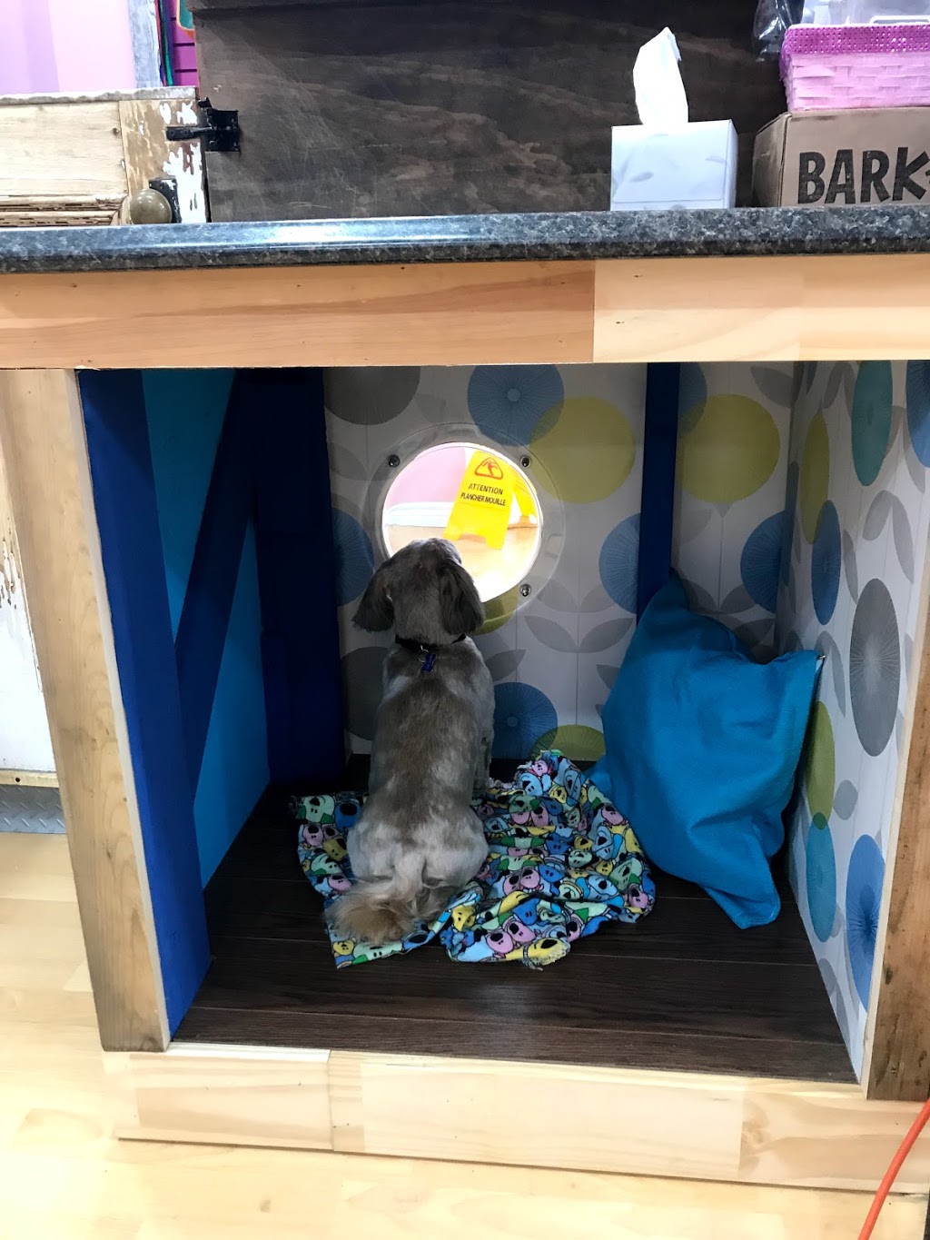 Ooh La La Pet Spaw | Mount Pearl Plaza, 7 Commonwealth Ave, Mount Pearl, NL A1N 1W3, Canada | Phone: (709) 758-7729