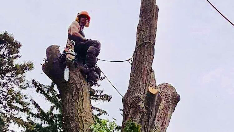 Grey Bruce Tree Workers | 11 Cameron St, Tiverton, ON N0G 2T0, Canada | Phone: (800) 561-7629