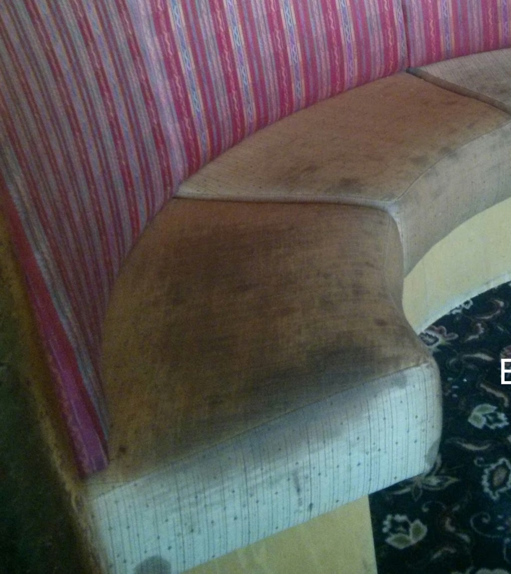 Puregreen Carpet and Upholstery Cleaning Solutions | 1881 Haig Dr, Ottawa, ON K1G 2J5, Canada | Phone: (613) 701-3268