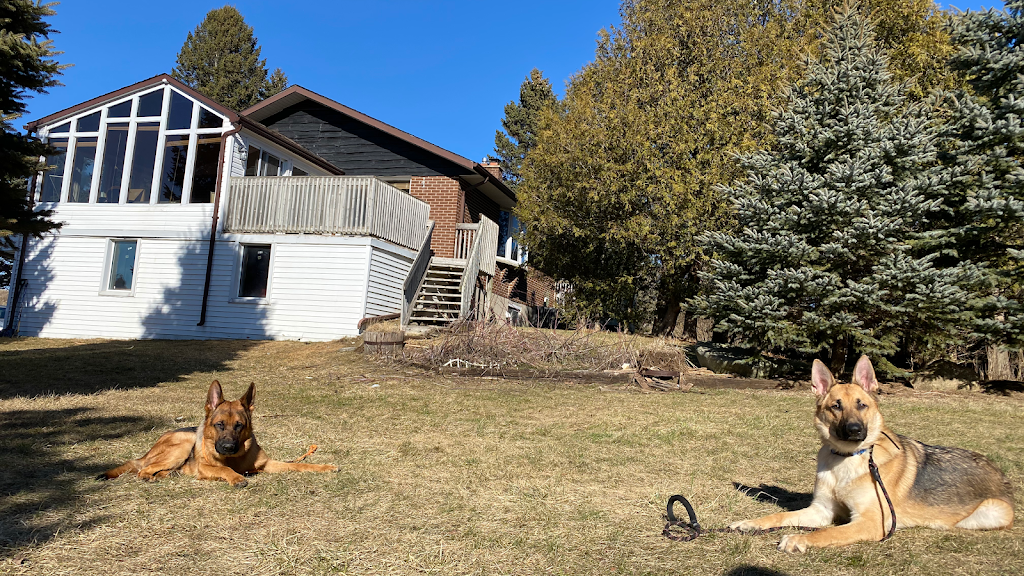 Noble K9 | 549 Trussler Rd, Kitchener, ON N2E 0C3, Canada | Phone: (226) 978-1090