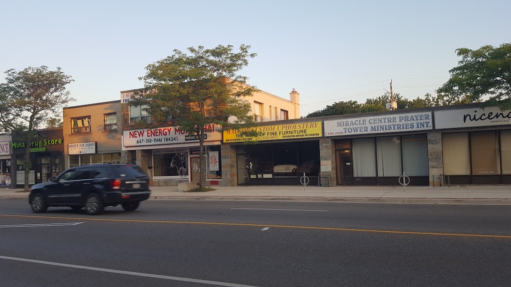 MINA DRUG STORE | 1474 Kingston Rd, Scarborough, ON M1N 1R6, Canada | Phone: (416) 699-7121