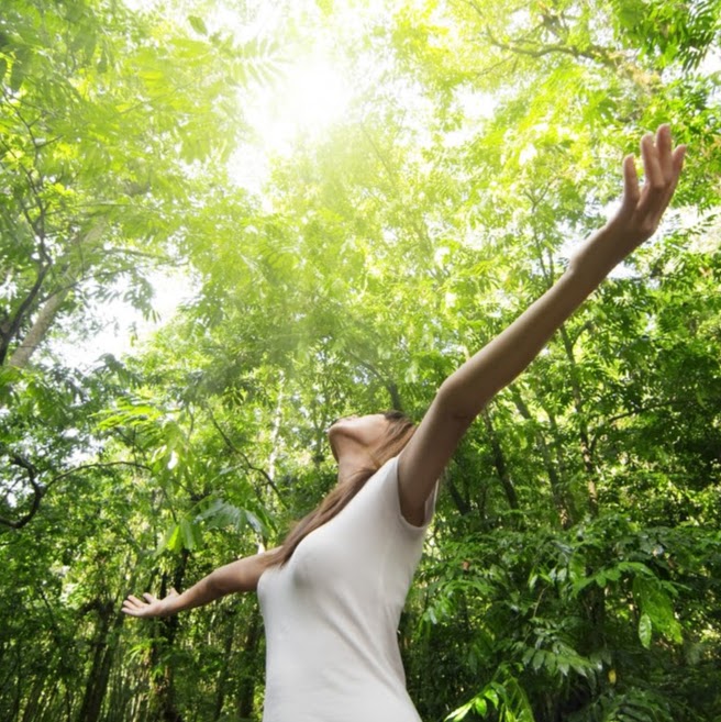 Taking Care of Me: Acupuncture Health and Wellness | 672 Brant St Suite 305, Burlington, ON L7R 2H3, Canada | Phone: (289) 861-5050