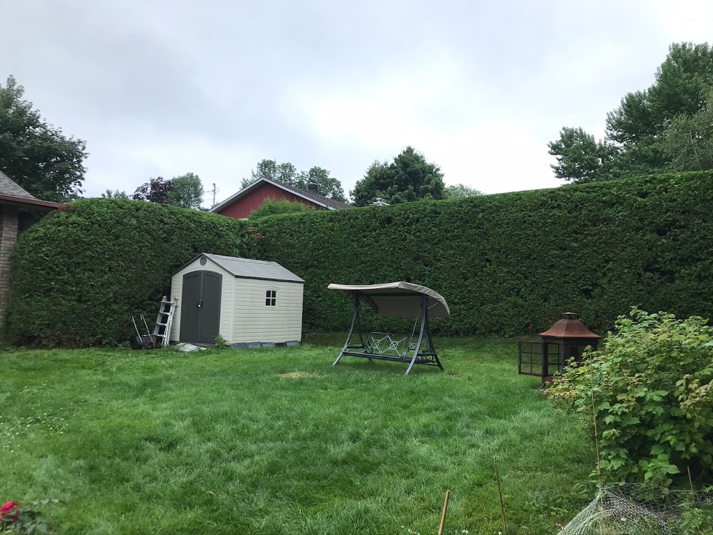 Taillage de haies Miguel Bedard | 3522 Chemin de North Hatley, Sherbrooke, QC J1N 0E5, Canada | Phone: (819) 437-8527