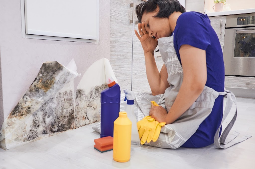 Mold Solutions Canada - Mold Removal Brampton | 6 Lehar Ct, Brampton, ON L6S 5V1, Canada | Phone: (647) 969-3660