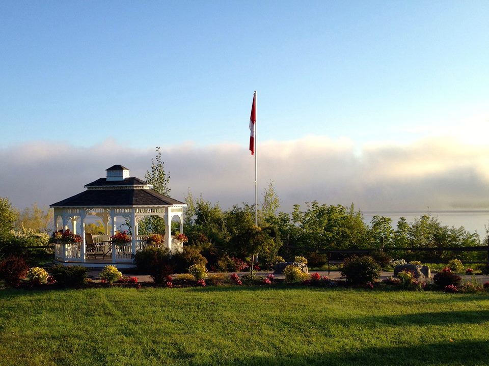 Pembroke Animal Hospital | 905 Pembroke St E, Pembroke, ON K8A 3M3, Canada | Phone: (613) 732-3641