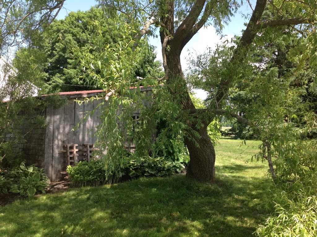 Chalets du Littoral | 390 Boulevard de Saint-Vallier, Saint-Vallier, QC G0R 4J0, Canada | Phone: (418) 804-0727
