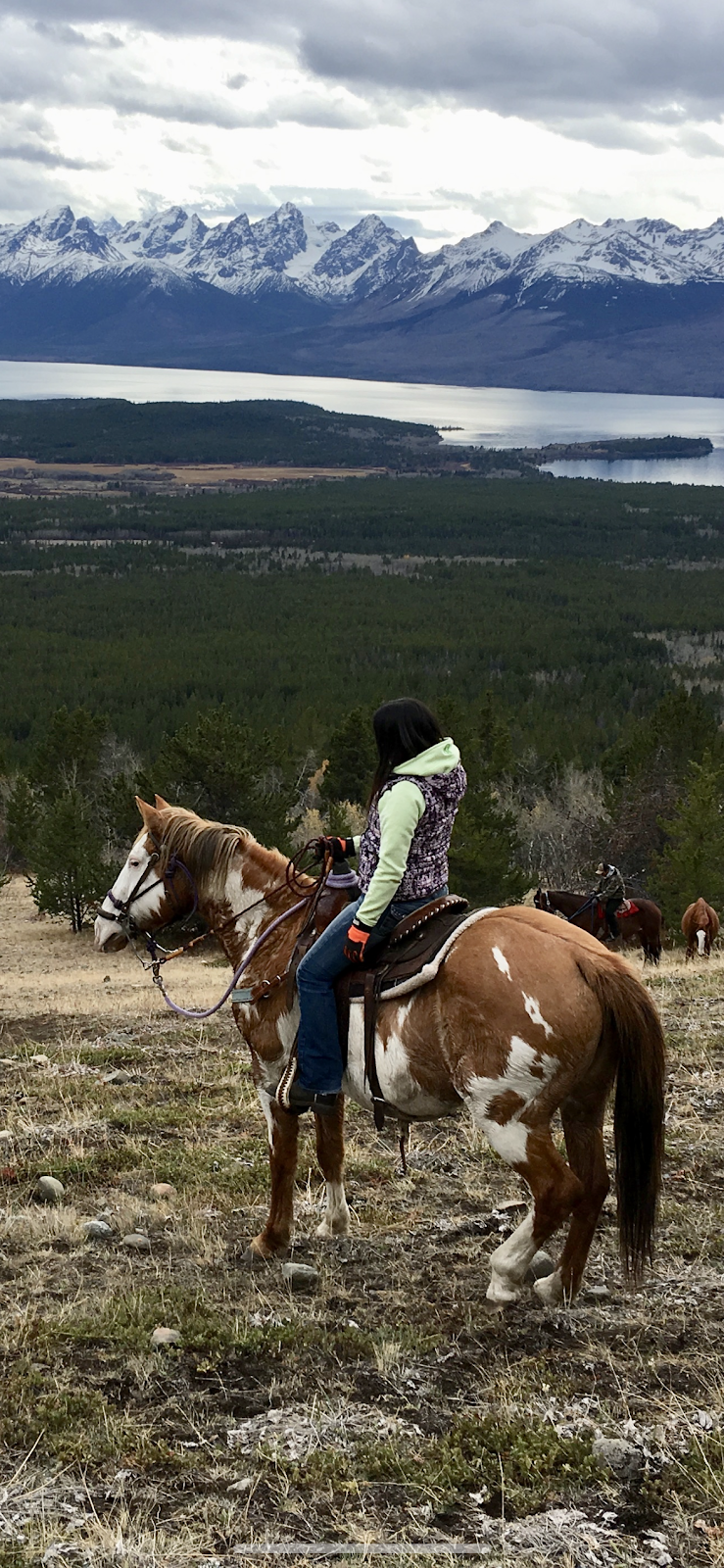 Flying L Ranch, Michael Lares | Nemaiah Valley Rd, Nemaiah Valley, BC V0L 1X0, Canada | Phone: (250) 302-2989