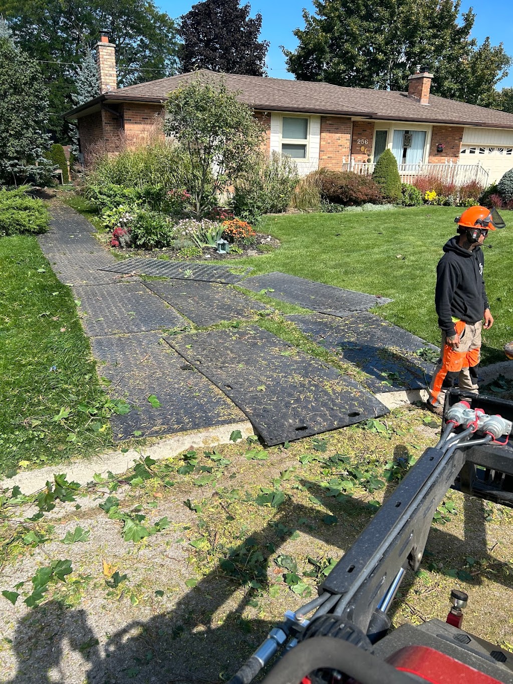 Defender Tree Service Ltd | 40385 Hensall Rd, Hensall, ON N0M 1X0, Canada | Phone: (226) 921-4986