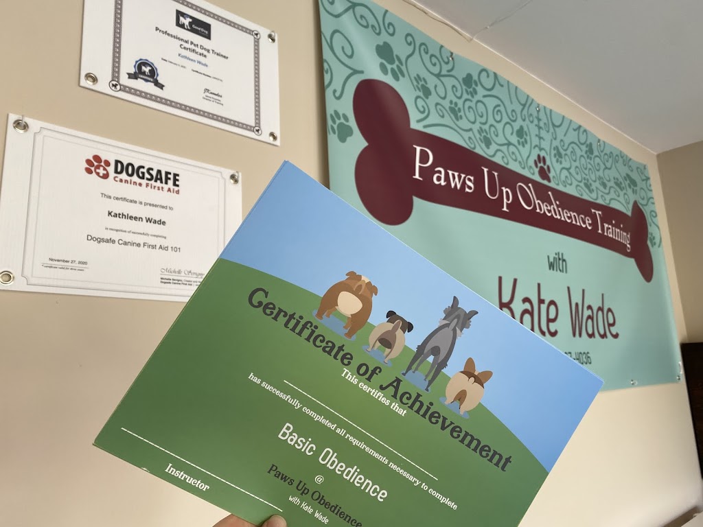 Paws Up Obedience Training | 714660 Middletown Line, Woodstock, ON N4S 7W3, Canada | Phone: (519) 697-4036