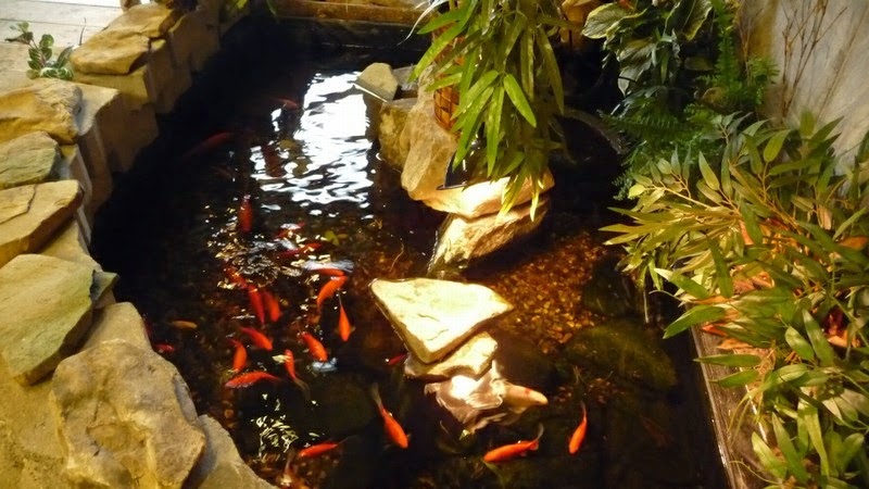Oasis Animale | 192 QC-138, Donnacona, QC G3M 1C2, Canada | Phone: (418) 285-2356