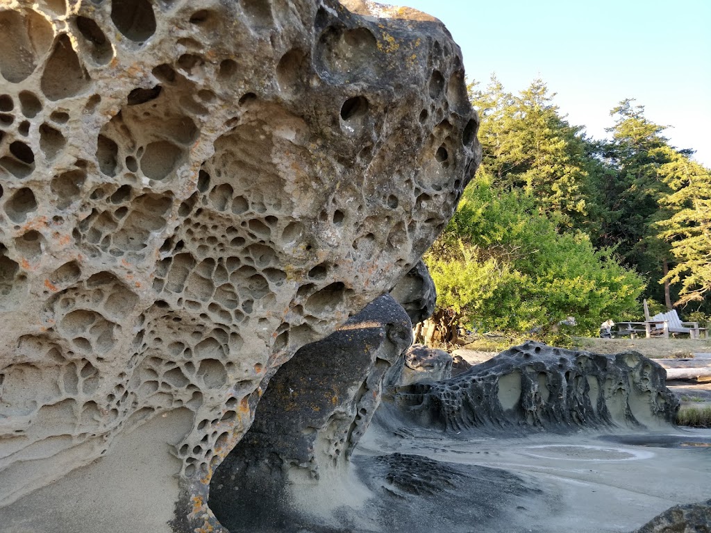 Heron Rocks Camping Co-Operative Association | 10085 Central Rd, Hornby Island, BC V0R 1Z0, Canada | Phone: (250) 335-2670