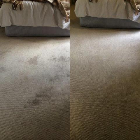Elgin Cleaning Services | 2, 959 Notre Dame Drive, London, ON N6J 3C3, Canada | Phone: (519) 933-5653