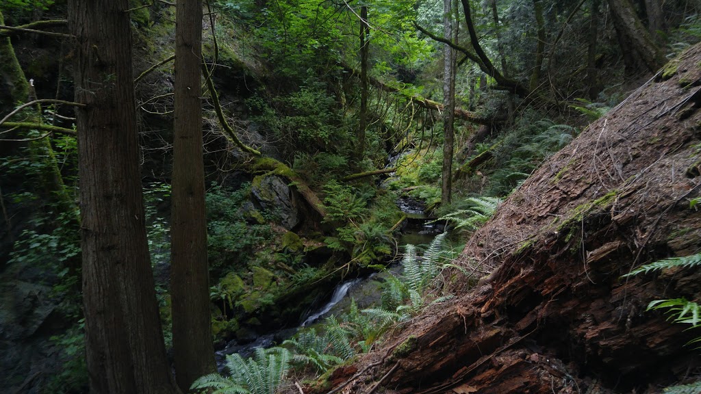 Coho Preserve, San Juan County Land Bank | On Point Lawrence Rd, 500 ft east of, Olga Rd, Olga, WA 98279, USA