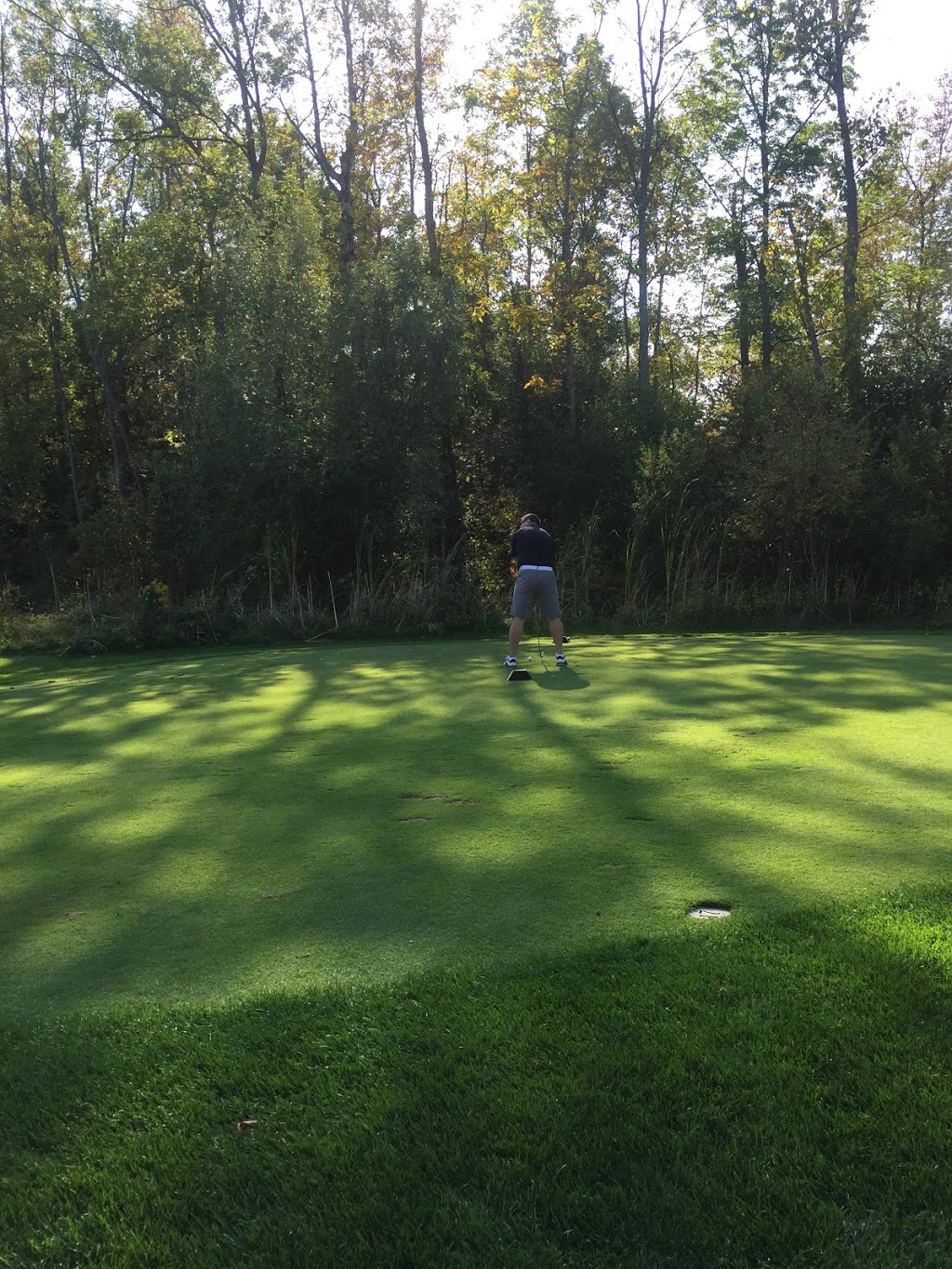 Trillium Wood Golf Club | 1281 ON-37, Corbyville, ON K0K 1V0, Canada | Phone: (613) 477-1831
