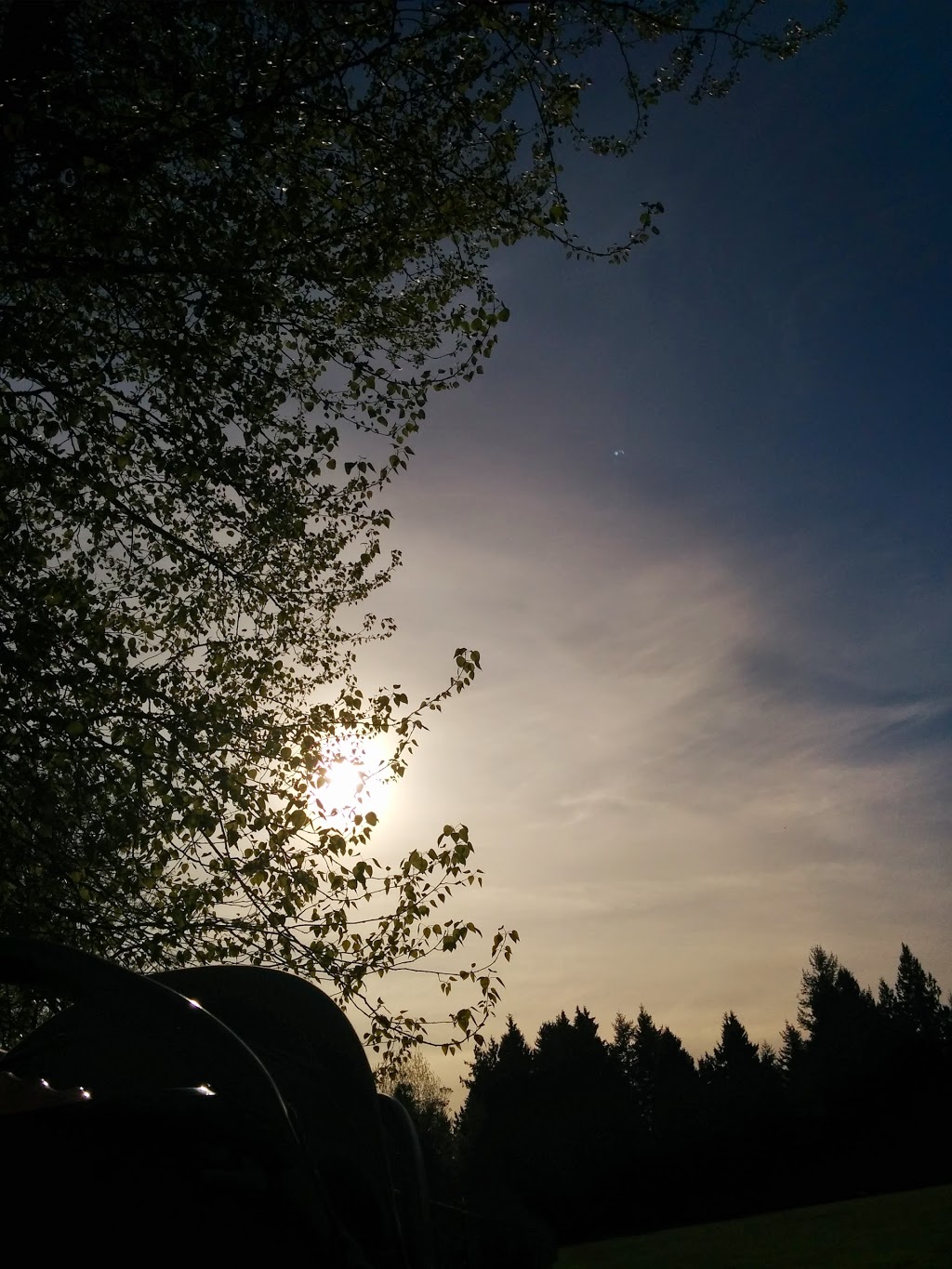 Bell Park | 205b St, Langley City, BC V3A 2P1, Canada | Phone: (604) 532-7350