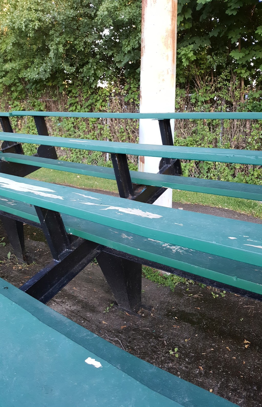 Parc Terry-Fox | Dollard-Des Ormeaux, QC H9A 1V4, Canada | Phone: (514) 684-1034