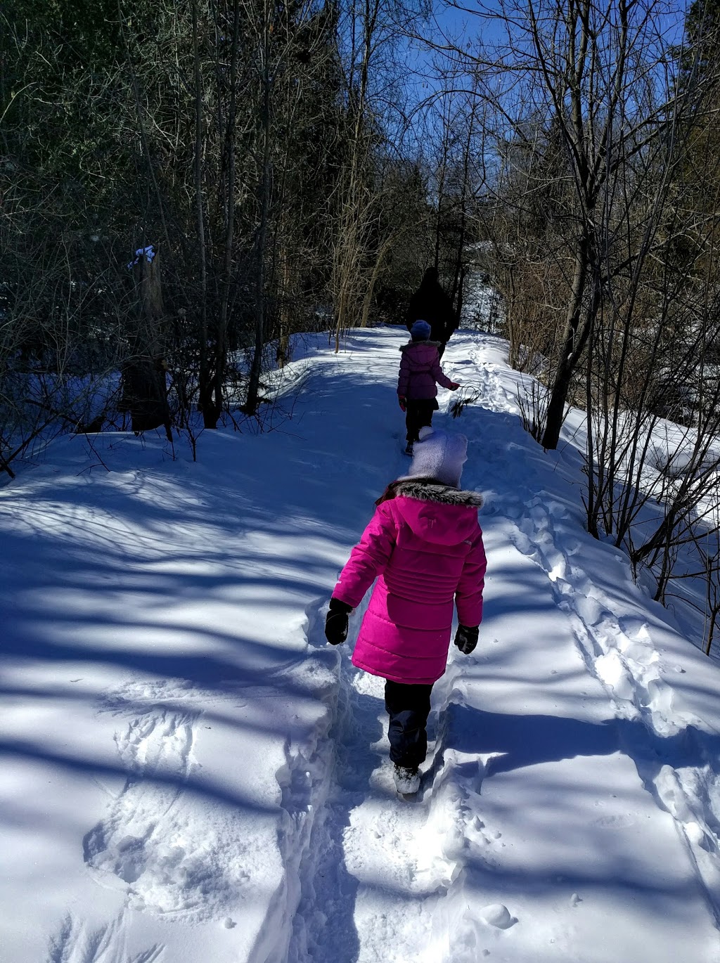 Alexander Grove Park | 10 Warner-Colpitts Ln, Stittsville, ON K2S 1V7, Canada | Phone: (613) 580-2595