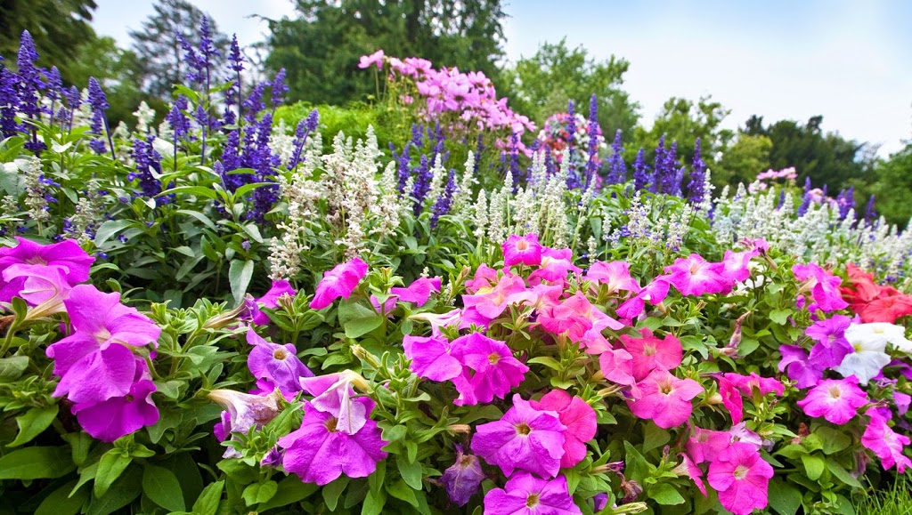 Rainbow Mill Gardens | Mill Rd, Anola, MB R0E 0A0, Canada | Phone: (204) 866-3000