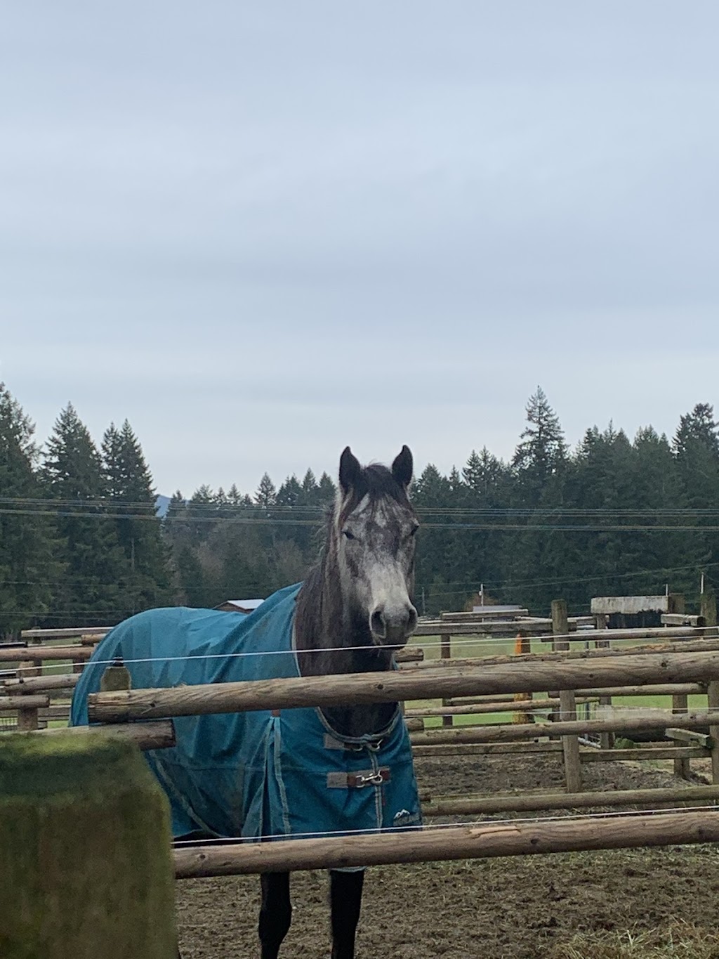 Abbey Road Farm | point of interest | 3260 Doupe Rd, Duncan, BC V9L 6P1, Canada | 2507323525 OR +1 250-732-3525