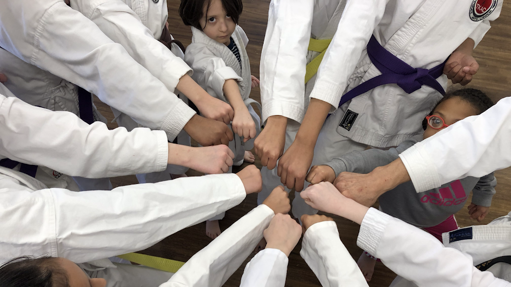 Shotokan Karate Hamilton | 1715 Main St E, Hamilton, ON L8H 1E3, Canada | Phone: (289) 828-4668