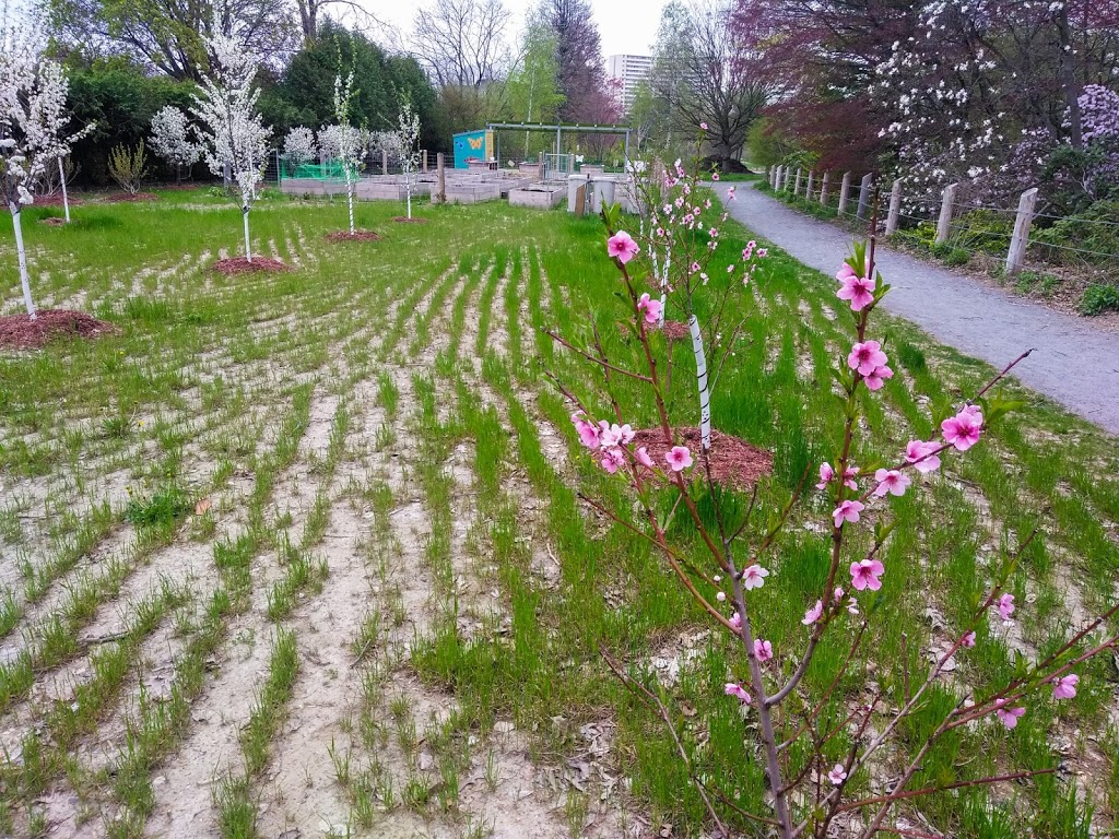 Hancock Woodlands Park | Cooksville, Mississauga, ON L5A 2K1, Canada